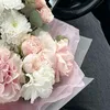 amemnu