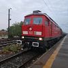 eduard_1234_