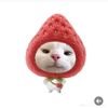 sipa_cutee