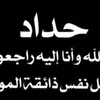 user7328285678144