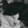 ix.da4da
