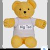 bigted123
