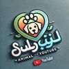 ahmedsaher316