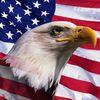 us.airforce79
