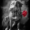 armando.huerta121