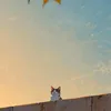 meliodaskun01