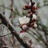 Gesundheit und Wohlbefinden