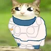 thch.i.comment.do2