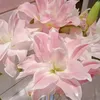 p.anh_td