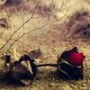user4983181181600