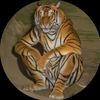 user9207301540266