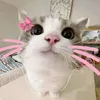 axepinkbunny