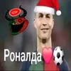nekit_6138