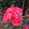 user731615057