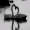 user90355770