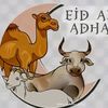 ahmadsiyfa87