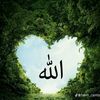 hasan44563
