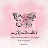 alaa_aloula_098