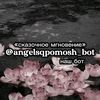 angelis_bott