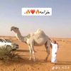 user4193236696017