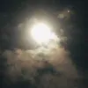 dannytorrez40