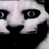 hngao08