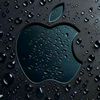 user81055548599861