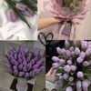 yara.mohamed6045