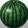 melonite13