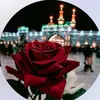 user41190663853432