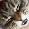 horrorlou