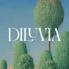 Diluvia Jewelry