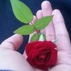 hakem.hakemm