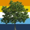anothergoodtree