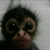 jj_2ohhh9