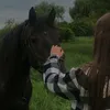honyazebari1