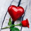 user83631033262954