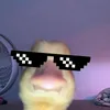 sunazo2.0