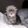 minato5750