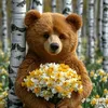 nour07008