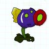 mr.chom2.0