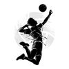 VolleyWood