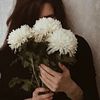 areej.jj3