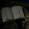 ali__15_2