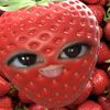 kkmzhz0