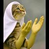 nunuoeact6669999