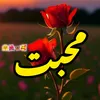 farzana_queen7