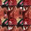 linnnn_muppp0