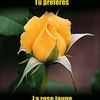 user4767239700821