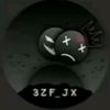 .twin013